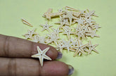 Dried Star Fish